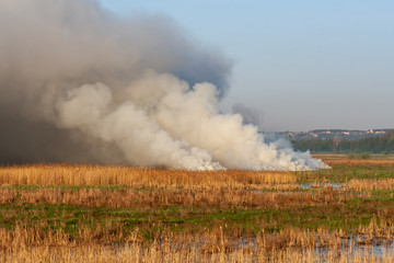 picturesque view of smoke on peat field - fire nature