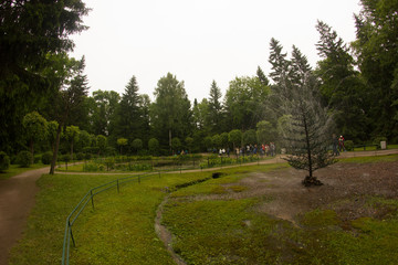 St. Petersburg. Russia. Petersburg architecture. Petersburg parks and museums. Summer in St. Petersburg. Travel across Russia.