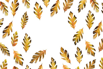 Autumn Feathers On White Background - 372231549