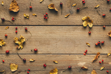 Autumn Leaves On White Wooden Planks - 372231767