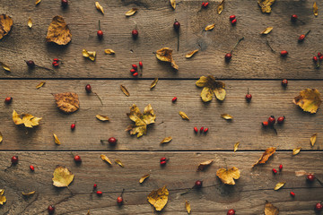 Autumn Leaves On White Wooden Planks - 372231971