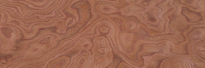 Natural nut veneer background in beautiful light brown color. Long plank texture. Wooden pattern.