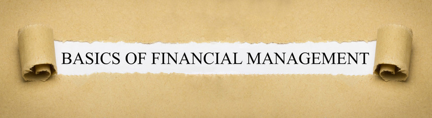 Basics of Financial Management