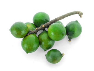 Macadamia nuts on white background.