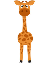 Standing baby giraffe front view. African animal in cartoon style.