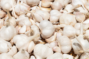 White garlic pile texture. Fresh garlic on market table closeup photo. Vitamin healthy food spice image. Spicy cooking ingredient picture. Pile of white garlic heads. White garlic head heap top view
