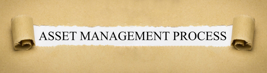 Asset Management Process
