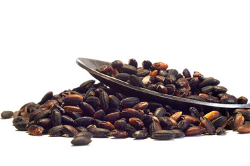 black rice with metal spoon, isolated