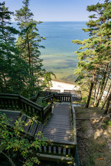 Fototapeta premium stairs leading to the beach and Baltic Sea from the Kaffeeberg mountain in Wolinski National Park