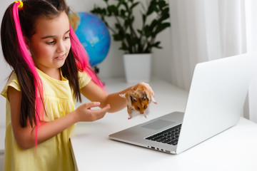 Cheerful young little girl with a pet hamster using laptop computer studying through online...