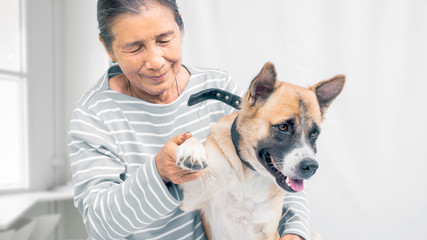 a senior playing with dog in smiling face, white background copy space