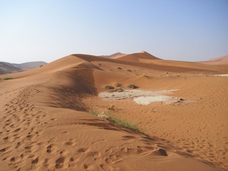 Fototapeta na wymiar Namib Desert in Namibia, Africa