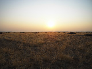 Fototapeta na wymiar Sunset on the african meadow