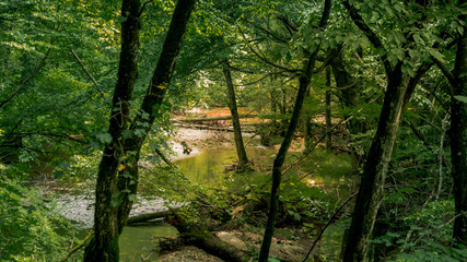 Large stream in the forest