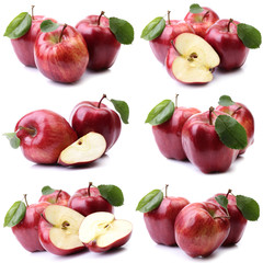 Red apples on white background