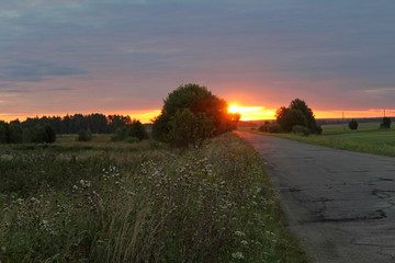 Exceptional beauty of summer nature. Unique image of the environment