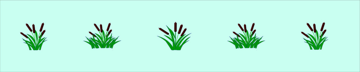 a set of cattails plants  icon design template with various models. vector illustration