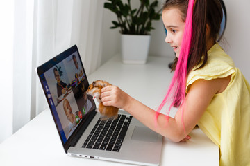 Fototapeta premium Cheerful young little girl with a pet hamster using laptop computer studying through online e-learning system at home. Distance or remote learning