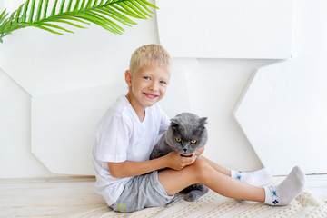 Obraz premium a little boy is sitting in a bright room with a cat, the concept of friendship between a child and an animal