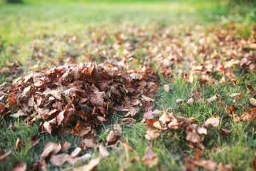 End of summer season in the park