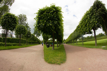 St. Petersburg. Cities of Russia. Petersburg architecture. Petersburg parks and recreation areas. Summer in St. Petersburg. Travel across Russia.