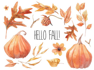 Hello fall! Big watercolor illustrations pack: autumn leaves, harvest, flowers. Seasonal elements isolated on white