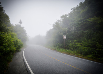 hiking road sign in the fog
