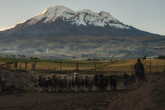 The beautiful landscapes around the Chimborazo volcano, Ecuador