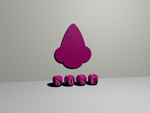 3D illustration of NOSE graphics and text made by metallic dice letters for the related meanings of the concept and presentations for background and face