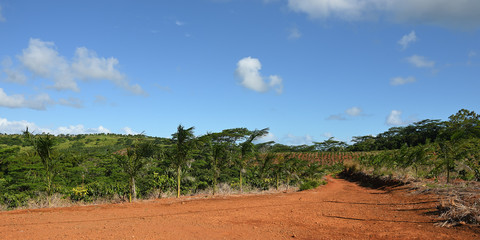 Fototapeta na wymiar Mauritius island. Countryside