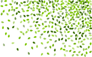 Grassy Foliage Forest Vector Backdrop. Ecology 