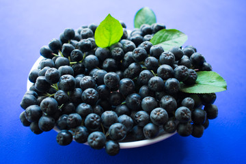 
Ripe chokeberry berries in a plate on a blue background (Aronia melanocarpa). Useful black rowan berries.