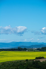 畑作地帯に広がるナノハナ畑
