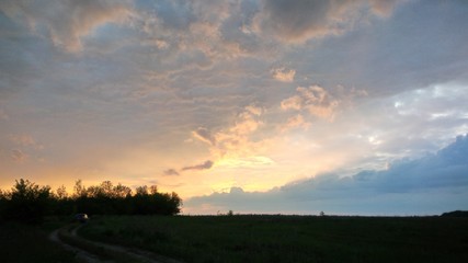 natural nature, forest, flowers and fields