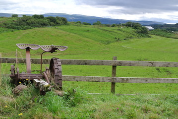 Field, Isle of Mull, Scotland