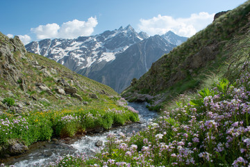 Fototapeta na wymiar mountain stream surrounded by bright colors in Sunny weather against the background of snow covered mountains