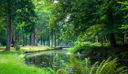 Beautiful green path in the forest spring nature in Europe, the bridge over the river landscape