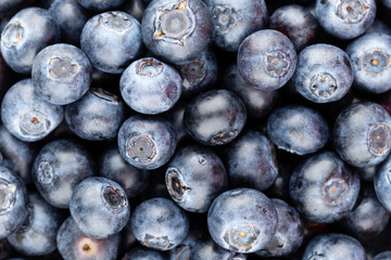 Fresh blueberry background. Texture blueberry berries close up.