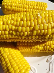 Boiled corn on a white plate macro