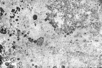 Vintage or grungy white background of natural cement or stone old texture as a retro pattern wall. aged, construction.