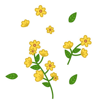 Yellow vector flowers illustration isolated on white background. Spring blossom element for card design needs. Green branch with small flowers and leaves. Flowering ornamental garden or wild plant