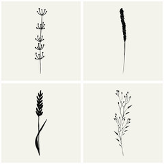 Floral sketch. Vector hand drawn collection of cosmetics herbs and plants. 