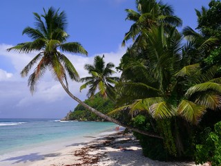 Seychelles, Indian Ocean, Mahe Island, west coast, Anse Baleine beach