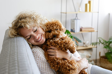 Adorable toy poodle puppy in arms of its loving owner. Small adorable doggy with funny curly fur...