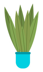 Pot with houseplant isolated at white background. Vector flowerpot of decorative green plant with long leaves in ceramic pot. Indoor plant concept of domestic greenery. Icon for home interior plant
