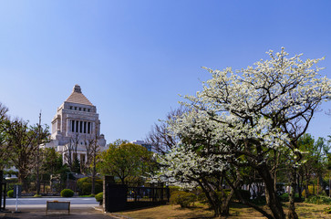 国会議事堂の外観【日本の政治のイメージ】
