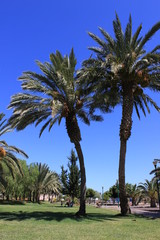 Fuerteventura Espagne