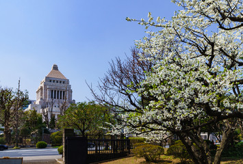国会議事堂の外観【日本の政治のイメージ】