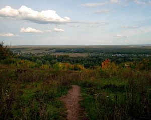 morning in the woods