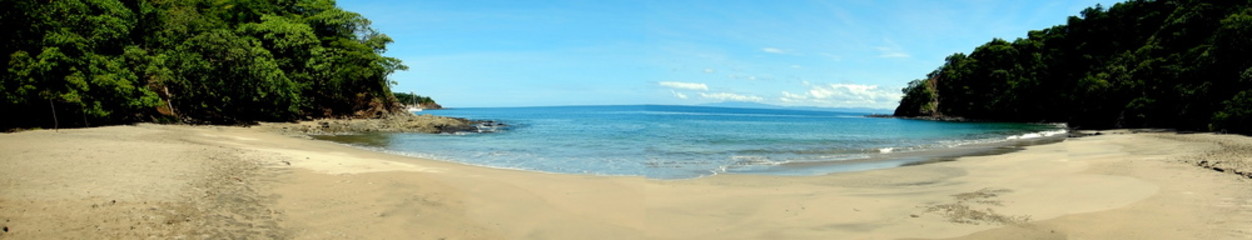 Costa Rica pacific sea life